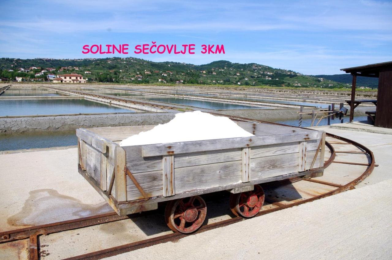 Floating House Sea Queen Portorož Dış mekan fotoğraf