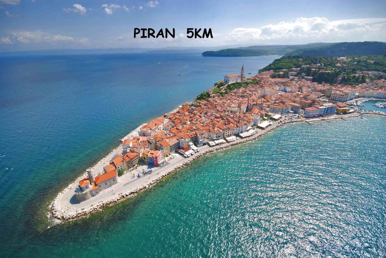 Floating House Sea Queen Portorož Dış mekan fotoğraf